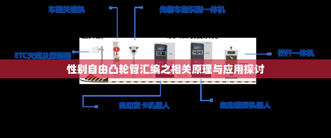 性别自由凸轮管汇编之相关原理与应用探讨