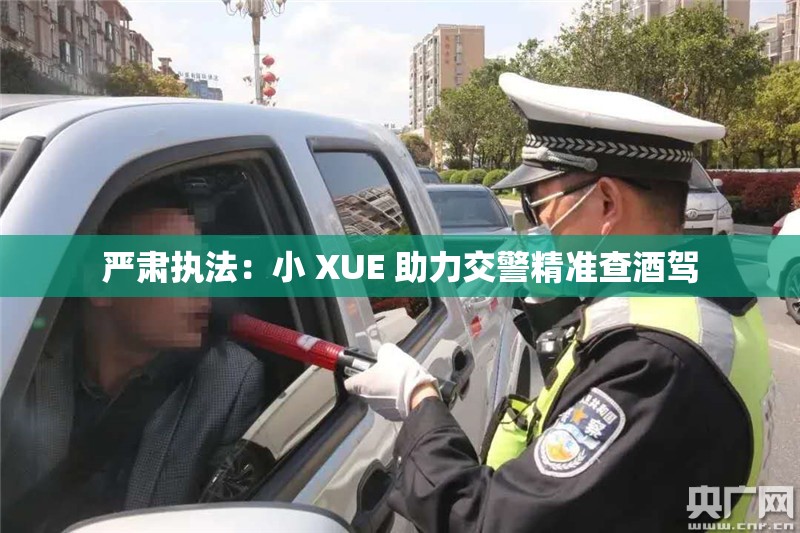 严肃执法：小 XUE 助力交警精准查酒驾