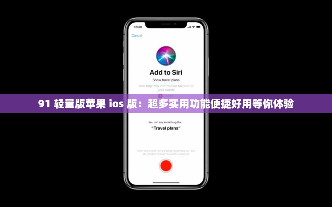 91 轻量版苹果 ios 版：超多实用功能便捷好用等你体验