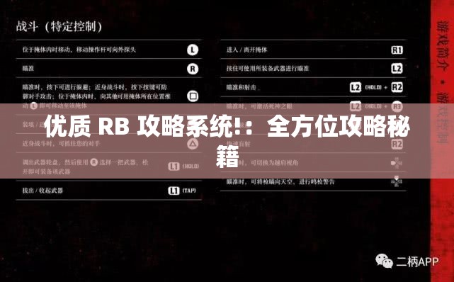 优质 RB 攻略系统!：全方位攻略秘籍