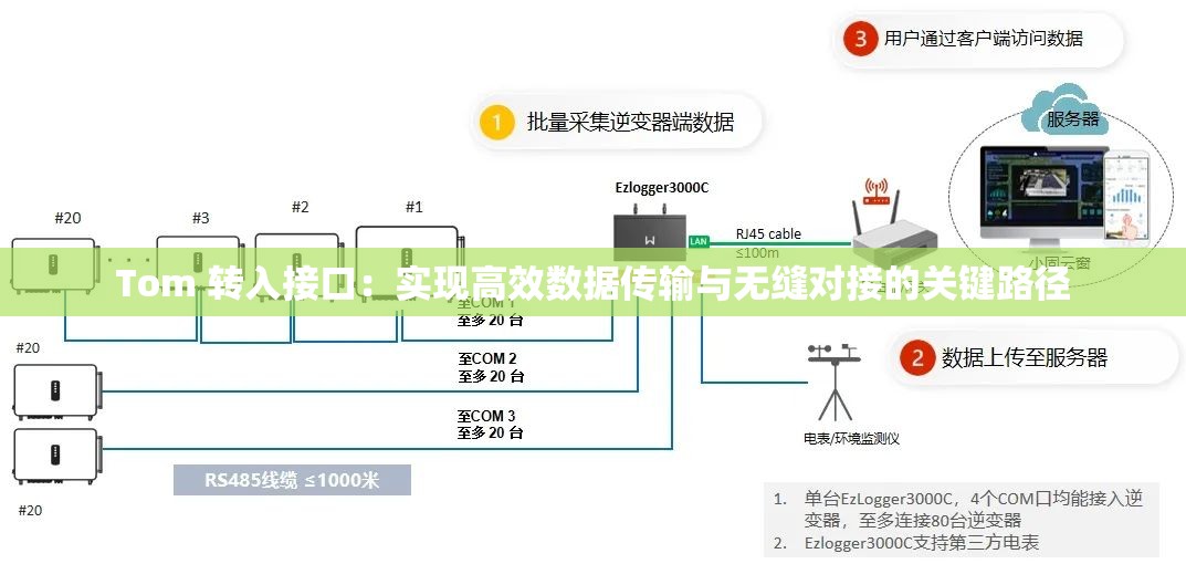 Tom 转入接口：实现高效数据传输与无缝对接的关键路径