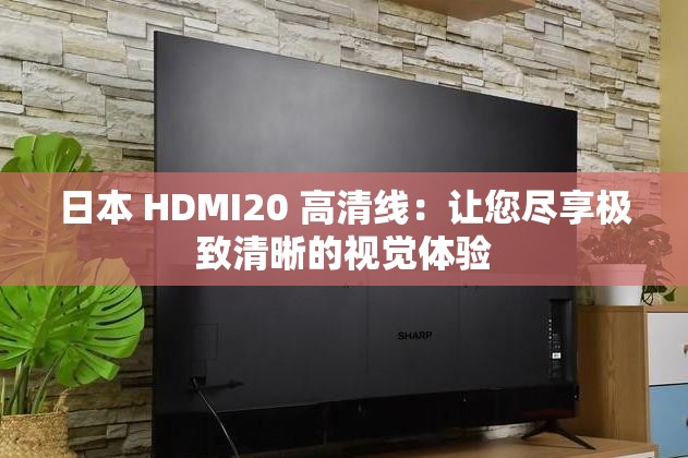 日本 HDMI20 高清线：让您尽享极致清晰的视觉体验