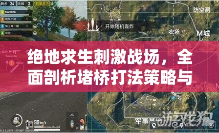 绝地求生刺激战场，全面剖析堵桥打法策略与实战应用心得