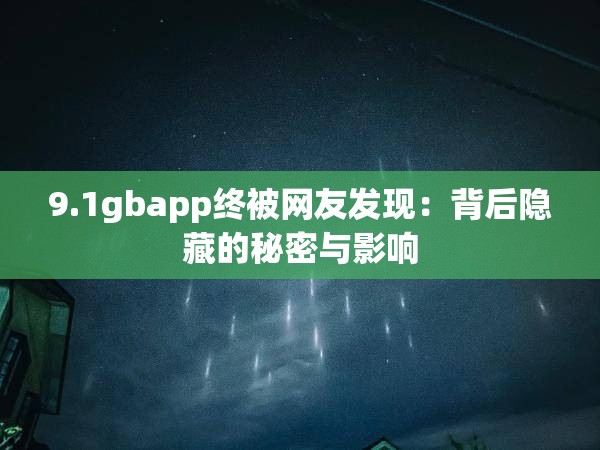 9.1gbapp终被网友发现：背后隐藏的秘密与影响