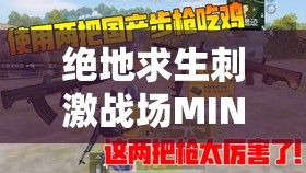 绝地求生刺激战场MINI14压枪深度攻略，掌握压枪技巧对资源管理与战斗胜利至关重要