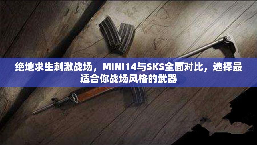 绝地求生刺激战场，MINI14与SKS全面对比，选择最适合你战场风格的武器