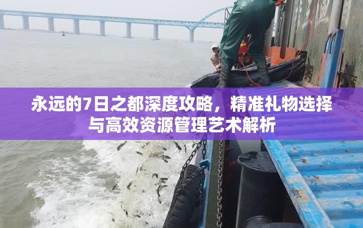 永远的7日之都深度攻略，精准礼物选择与高效资源管理艺术解析