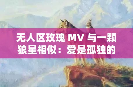 无人区玫瑰 MV 与一颗狼星相似：爱是孤独的占有