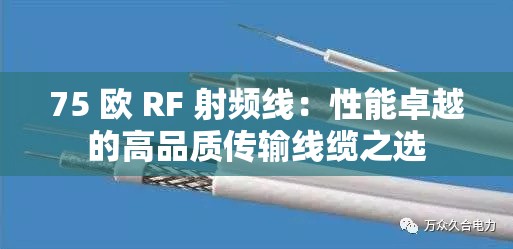 75 欧 RF 射频线：性能卓越的高品质传输线缆之选