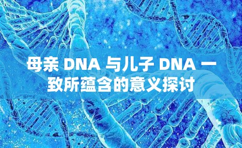 母亲 DNA 与儿子 DNA 一致所蕴含的意义探讨