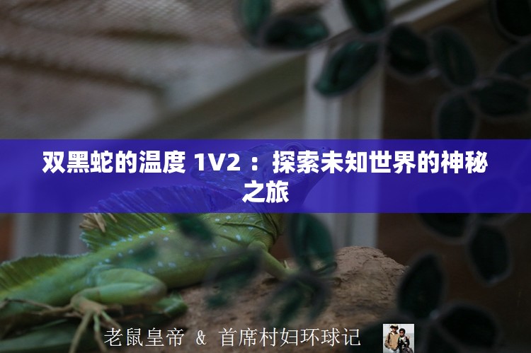 双黑蛇的温度 1V2 ：探索未知世界的神秘之旅