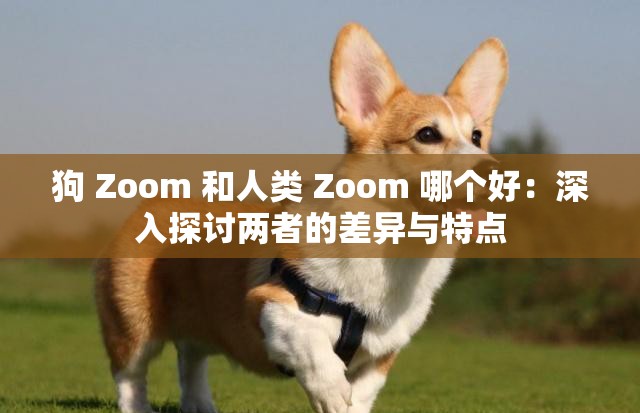 狗 Zoom 和人类 Zoom 哪个好：深入探讨两者的差异与特点