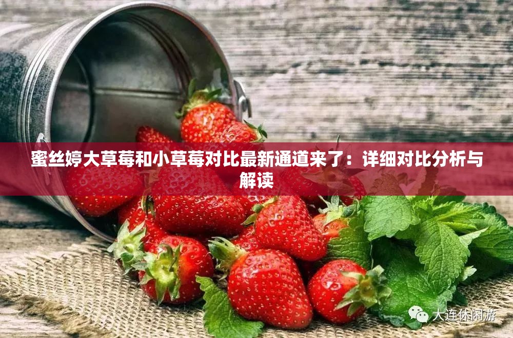 蜜丝婷大草莓和小草莓对比最新通道来了：详细对比分析与解读