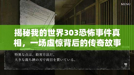 揭秘我的世界303恐怖事件真相，一场虚惊背后的传奇故事