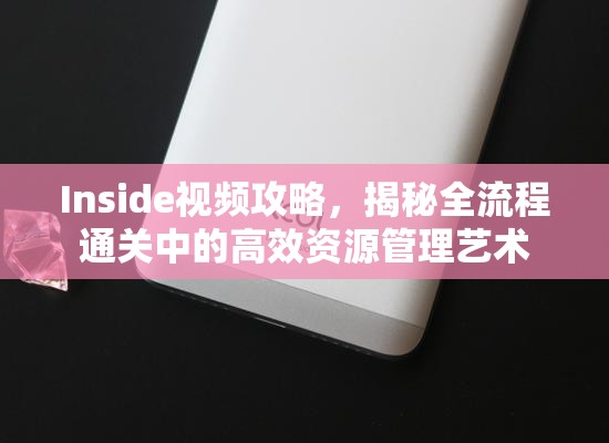 Inside视频攻略，揭秘全流程通关中的高效资源管理艺术