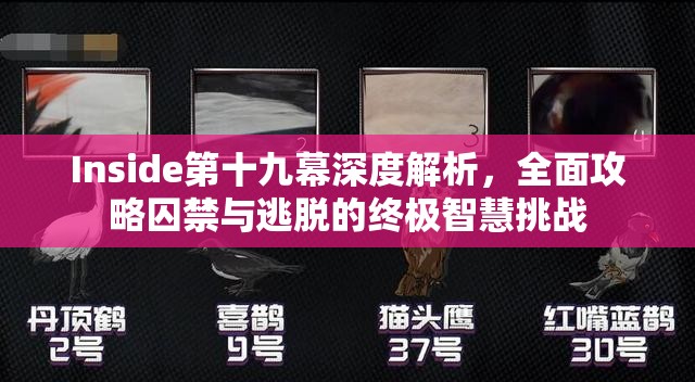 Inside第十九幕深度解析，全面攻略囚禁与逃脱的终极智慧挑战