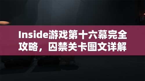 Inside游戏第十六幕完全攻略，囚禁关卡图文详解与全面解析