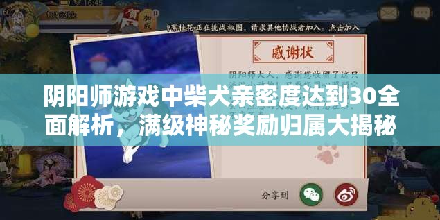 阴阳师游戏中柴犬亲密度达到30全面解析，满级神秘奖励归属大揭秘