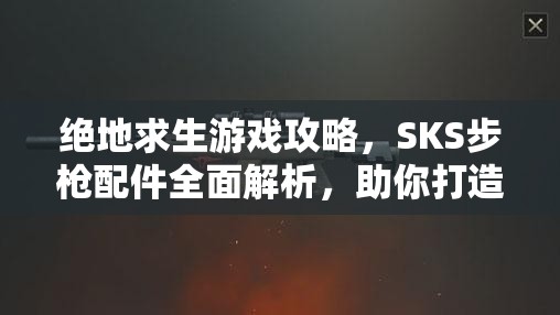 绝地求生游戏攻略，SKS步枪配件全面解析，助你打造个性化专属神枪