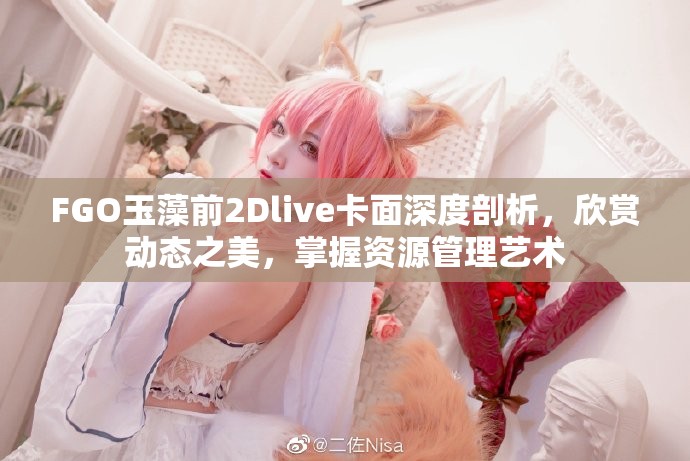 FGO玉藻前2Dlive卡面深度剖析，欣赏动态之美，掌握资源管理艺术