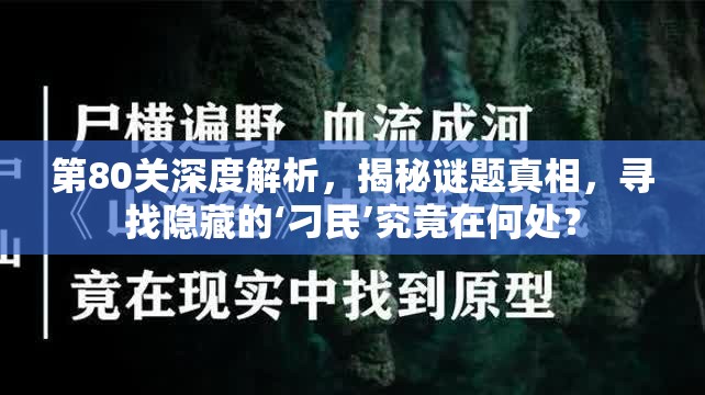 第80关深度解析，揭秘谜题真相，寻找隐藏的‘刁民’究竟在何处？