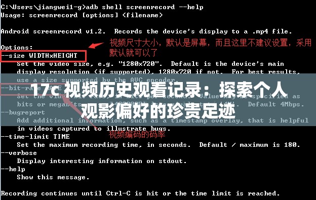 17c 视频历史观看记录：探索个人观影偏好的珍贵足迹