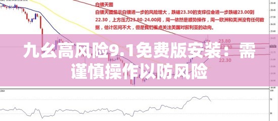 九幺高风险9.1免费版安装：需谨慎操作以防风险