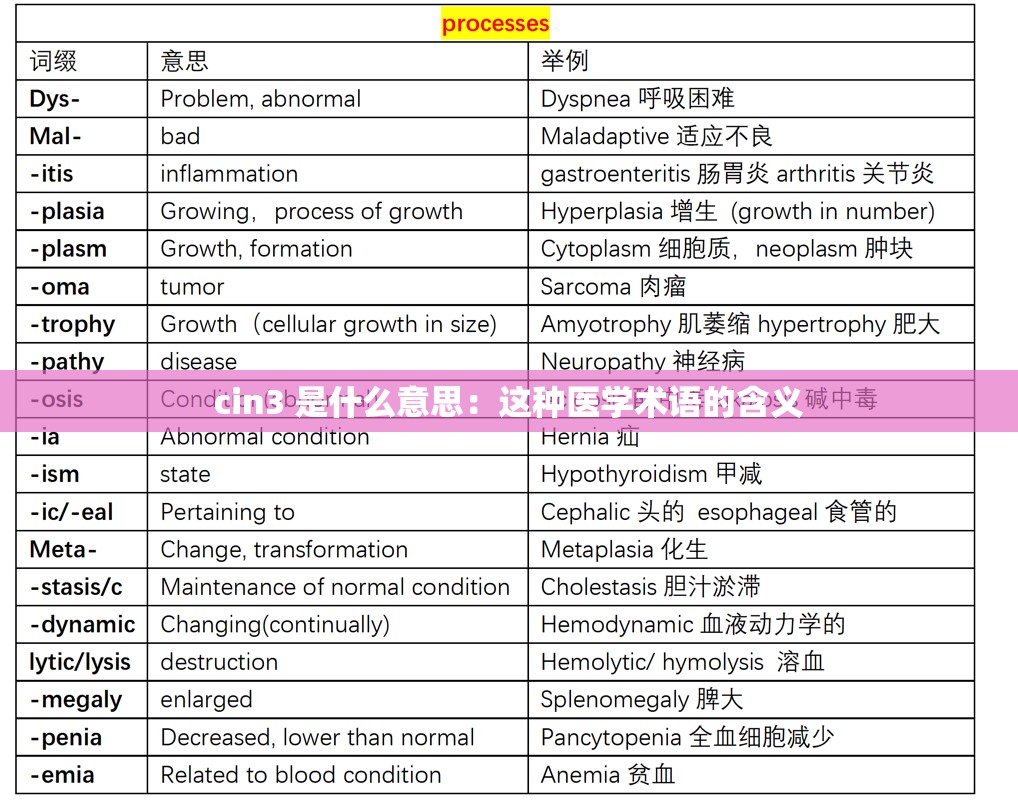 cin3 是什么意思：这种医学术语的含义