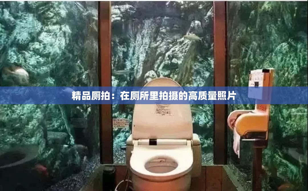 精品厕拍：在厕所里拍摄的高质量照片