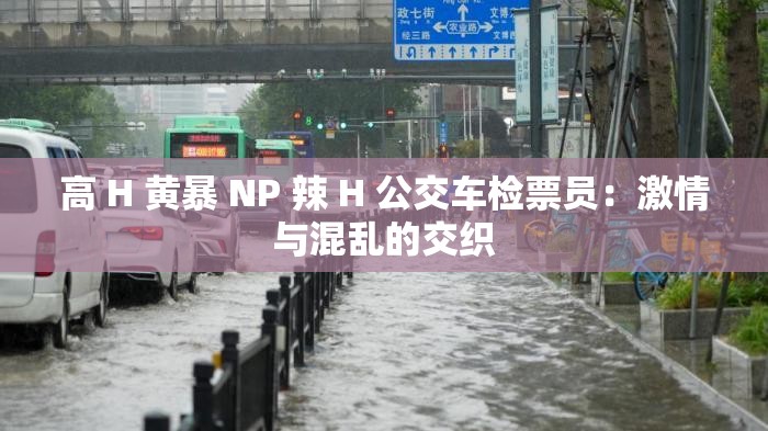 高 H 黄暴 NP 辣 H 公交车检票员：激情与混乱的交织