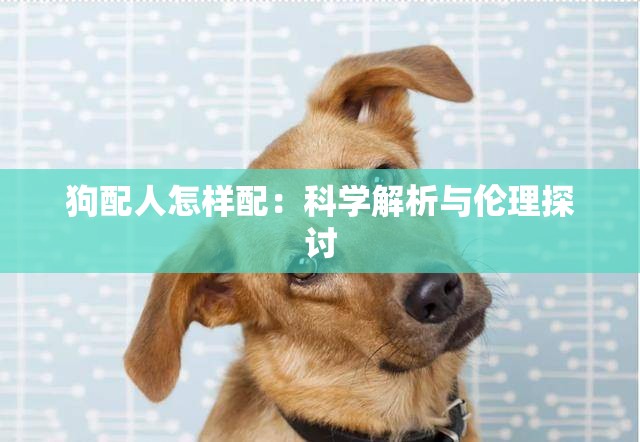 狗配人怎样配：科学解析与伦理探讨