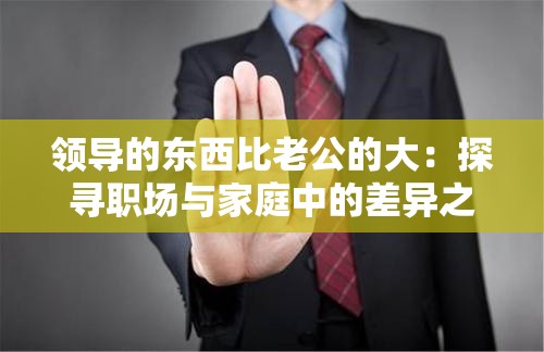 领导的东西比老公的大：探寻职场与家庭中的差异之谜