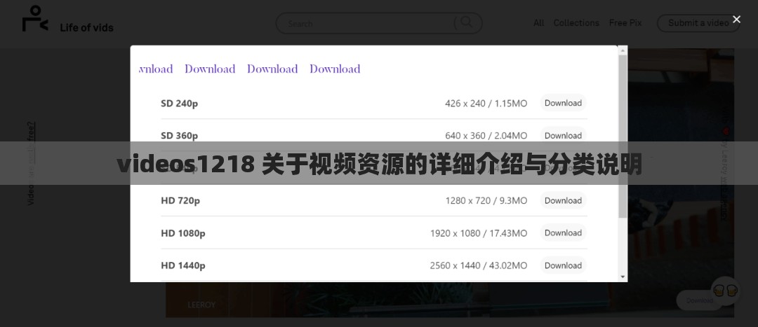 videos1218 关于视频资源的详细介绍与分类说明