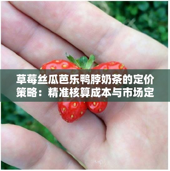 草莓丝瓜芭乐鸭脖奶茶的定价策略：精准核算成本与市场定位