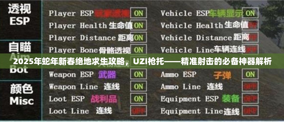 2025年蛇年新春绝地求生攻略，UZI枪托——精准射击的必备神器解析