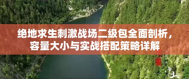 绝地求生刺激战场二级包全面剖析，容量大小与实战搭配策略详解