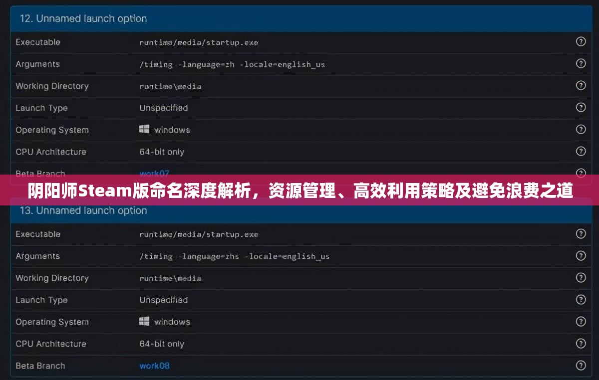 阴阳师Steam版命名深度解析，资源管理、高效利用策略及避免浪费之道