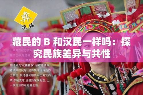 藏民的 B 和汉民一样吗：探究民族差异与共性