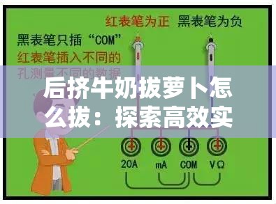 后挤牛奶拔萝卜怎么拔：探索高效实用的操作技巧与方法