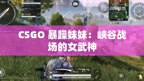 CSGO 暴躁妹妹：峡谷战场的女武神