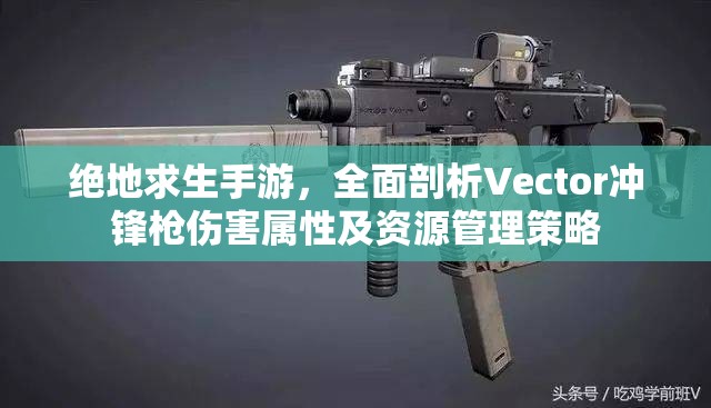 绝地求生手游，全面剖析Vector冲锋枪伤害属性及资源管理策略