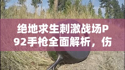 绝地求生刺激战场P92手枪全面解析，伤害技巧、使用攻略与资源管理策略