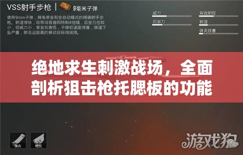 绝地求生刺激战场，全面剖析狙击枪托腮板的功能与图鉴详解