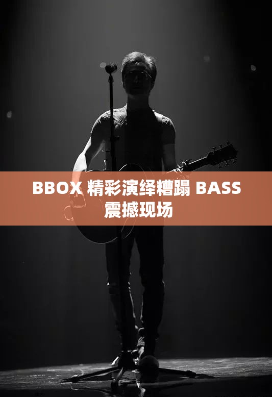 BBOX 精彩演绎糟蹋 BASS 震撼现场