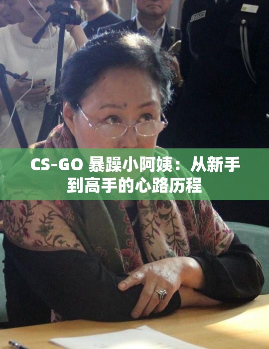 CS-GO 暴躁小阿姨：从新手到高手的心路历程