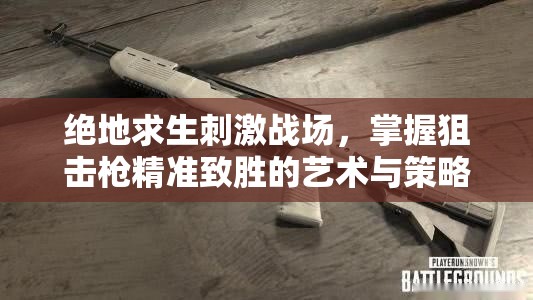 绝地求生刺激战场，掌握狙击枪精准致胜的艺术与策略