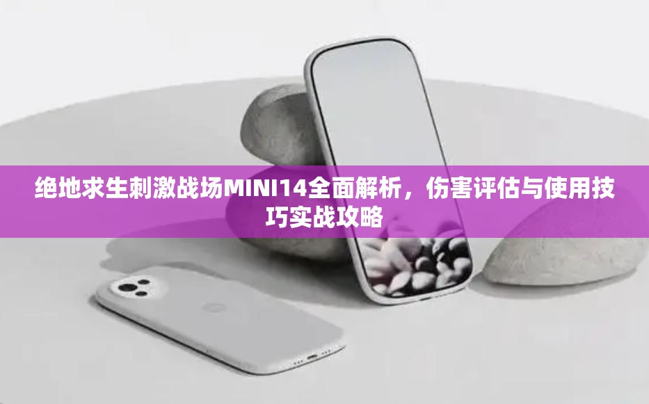 绝地求生刺激战场MINI14全面解析，伤害评估与使用技巧实战攻略