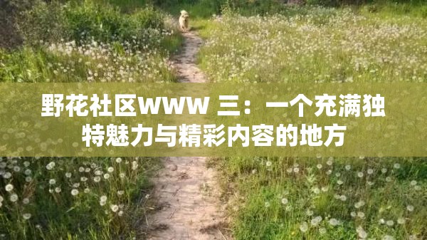 野花社区WWW 三：一个充满独特魅力与精彩内容的地方