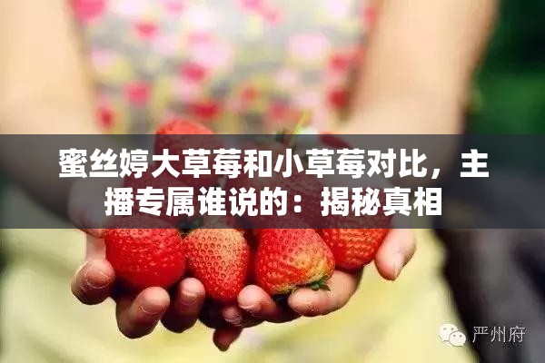 蜜丝婷大草莓和小草莓对比，主播专属谁说的：揭秘真相