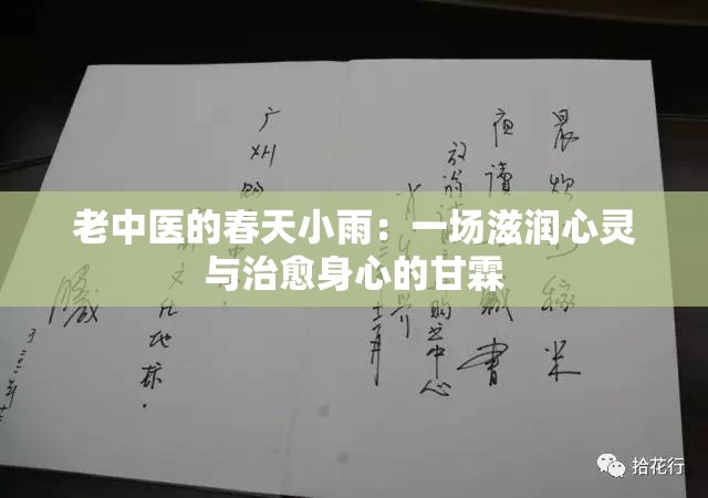 老中医的春天小雨：一场滋润心灵与治愈身心的甘霖